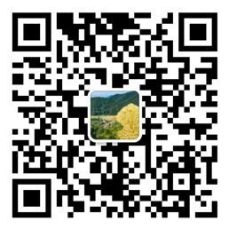 55世纪软件